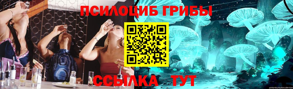 Тобольск  Галлюциногенные грибы Psilocybine cubensis  Галлюциногенные грибы ЛСД  где купить наркоту  Вход с VPN 