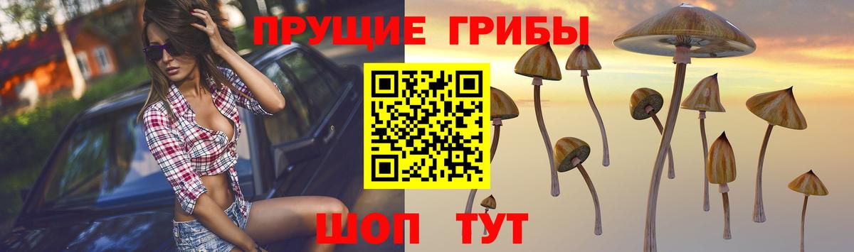 Галлюциногенные грибы Cubensis Тобольск
